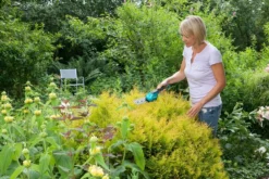 GARDENA Accu Gras- En Buxusschaar Set Accucut Li -Tuincentrum Coppelmans gardena accu gras en buxusschaar set accucut li 1619704816 l