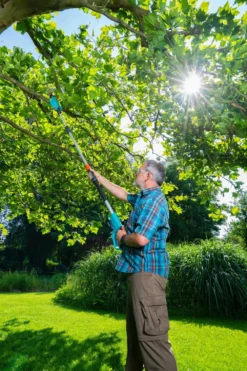 GARDENA Accu Telescopische Snoeizaag TCS 20/18 P4A Solo -Tuincentrum Coppelmans gardena accu telescopische snoeizaag tcs 20 18 p4a solo 1000x1500 640af3255d2cf l