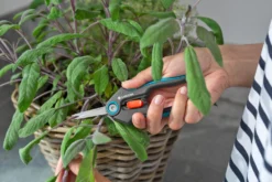 GARDENA FreshCut 7 GARDENA FreshCut -Tuincentrum Coppelmans gardena freshcut 1500x1000 640af8175f65c l