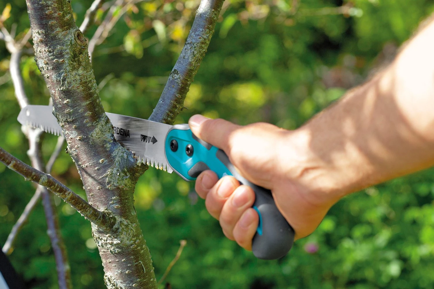 GARDENA Snoeizaag 300P 4 GARDENA Snoeizaag 300P - Afbeelding 4