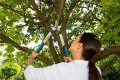 GARDENA Takkenschaar EasyCut 500 B -Tuincentrum Coppelmans gardena takkenschaar easycut 500 b 1500x1000 640af7e5d4f80 l