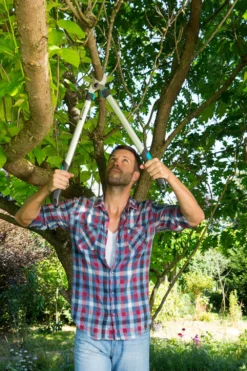 GARDENA Takkenzaag EasyCut 680 B (12003 + 8754 E12) -Tuincentrum Coppelmans gardena takkenschaar easycut 680 b 8754 1000x1500 640af7ec497bd l