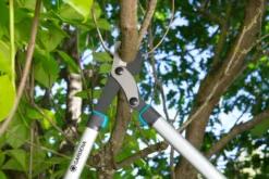 GARDENA Takkenschaar EnergyCut 750 B -Tuincentrum Coppelmans gardena takkenschaar energycut 750 b 1500x1000 640af848a316f l