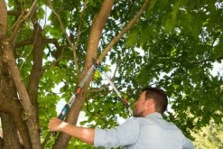 GARDENA Takkenschaar TeleCut Long 650-900 B -Tuincentrum Coppelmans gardena telecut long 650 900b 1500x1001 640af7f15744f l