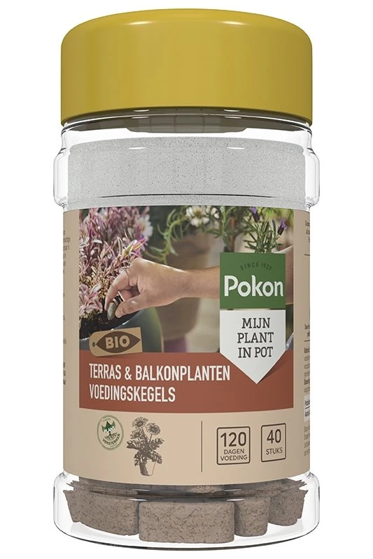 Pokon Bio Terras & Balkon Planten Voedingskegels 40 Stuks 1 Pokon Bio Terras & Balkon Planten Voedingskegels 40 Stuks