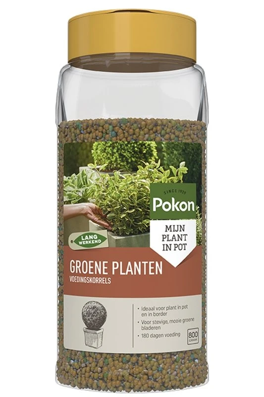 Pokon Groene Planten Voedingskorrels 800g 1 Pokon Groene Planten Voedingskorrels 800g
