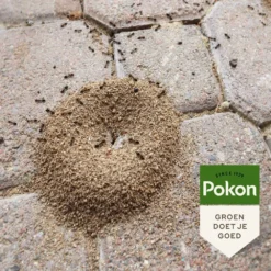 Pokon Tegen Mieren Korrels 400gr -Tuincentrum Coppelmans pokon tegen mieren korrels 400gr 1000x1000 6221fb52c5ede l