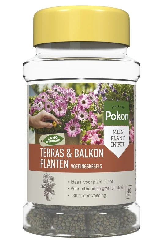Pokon Terras & Balkon Planten Voedingskegels 40 Stuks 1 Pokon Terras & Balkon Planten Voedingskegels 40 Stuks